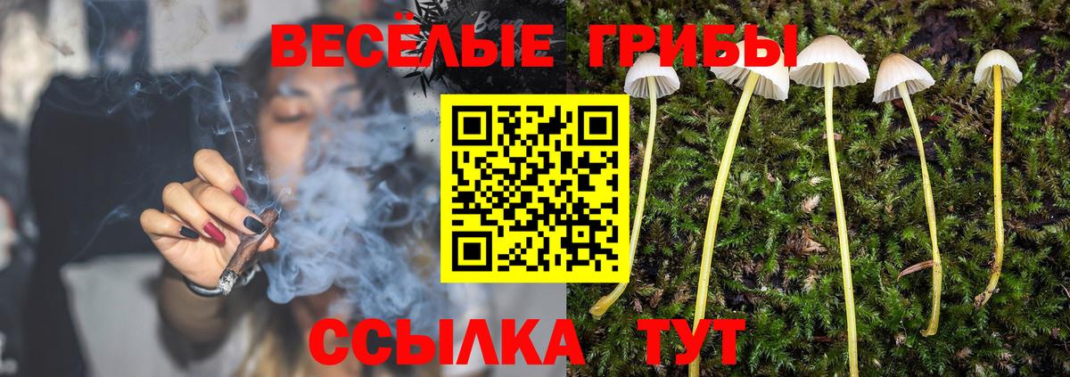 Приморско-Ахтарск  Псилоцибиновые грибы мицелий  Галлюциногенные грибы Psilocybine cubensis  Вход с VPN 